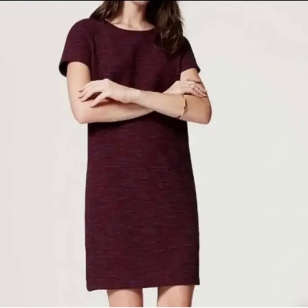 LOFT Short Sleeve Knit Shift Dress